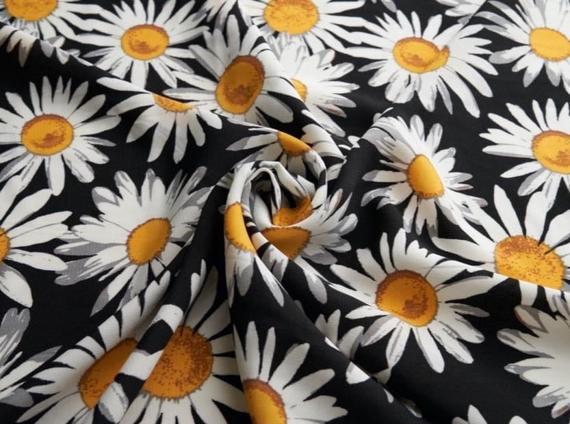 Black daisy